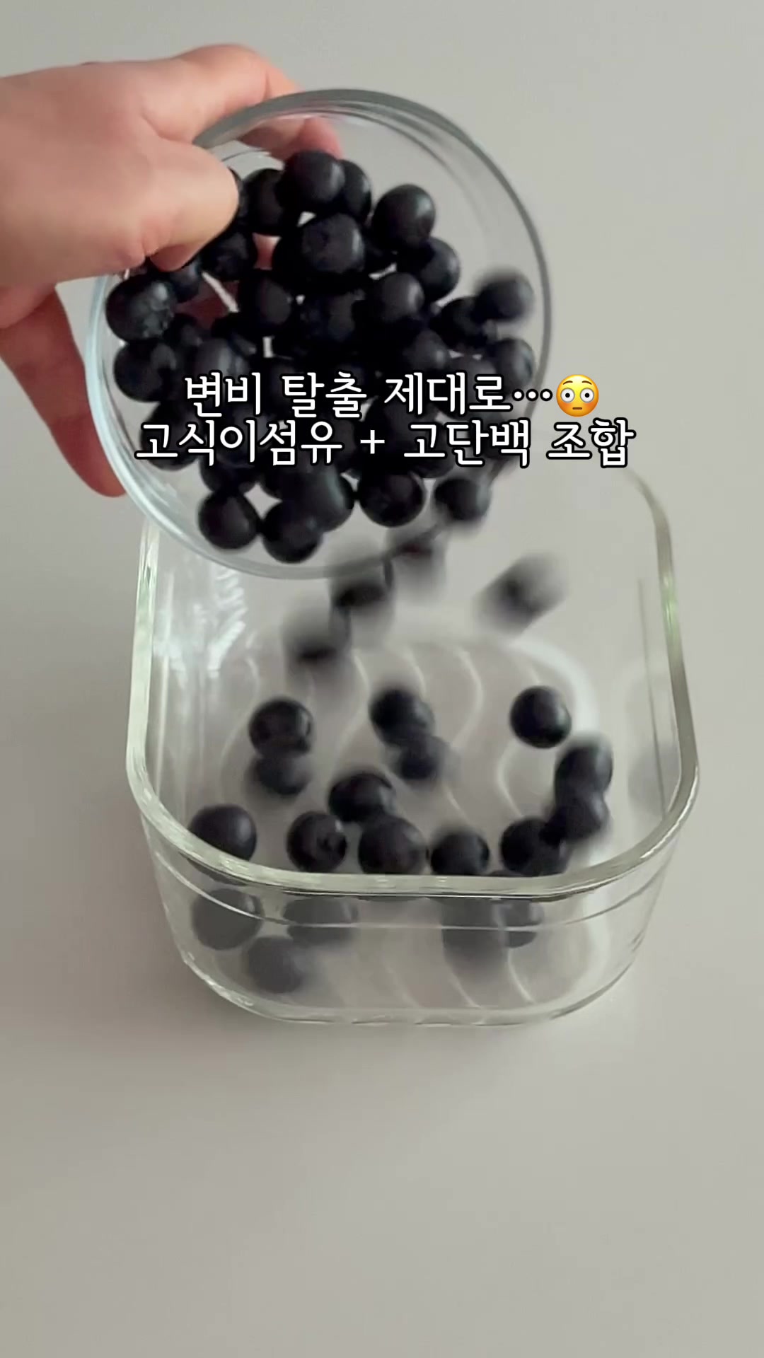 @mollyjjang