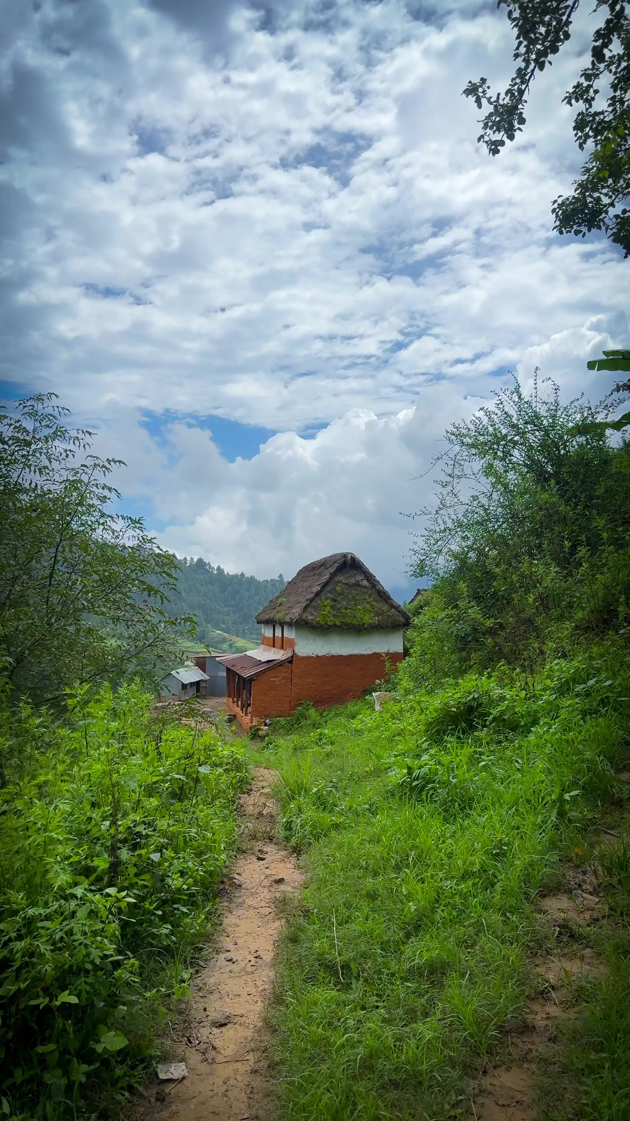@Sudarshan Neupane