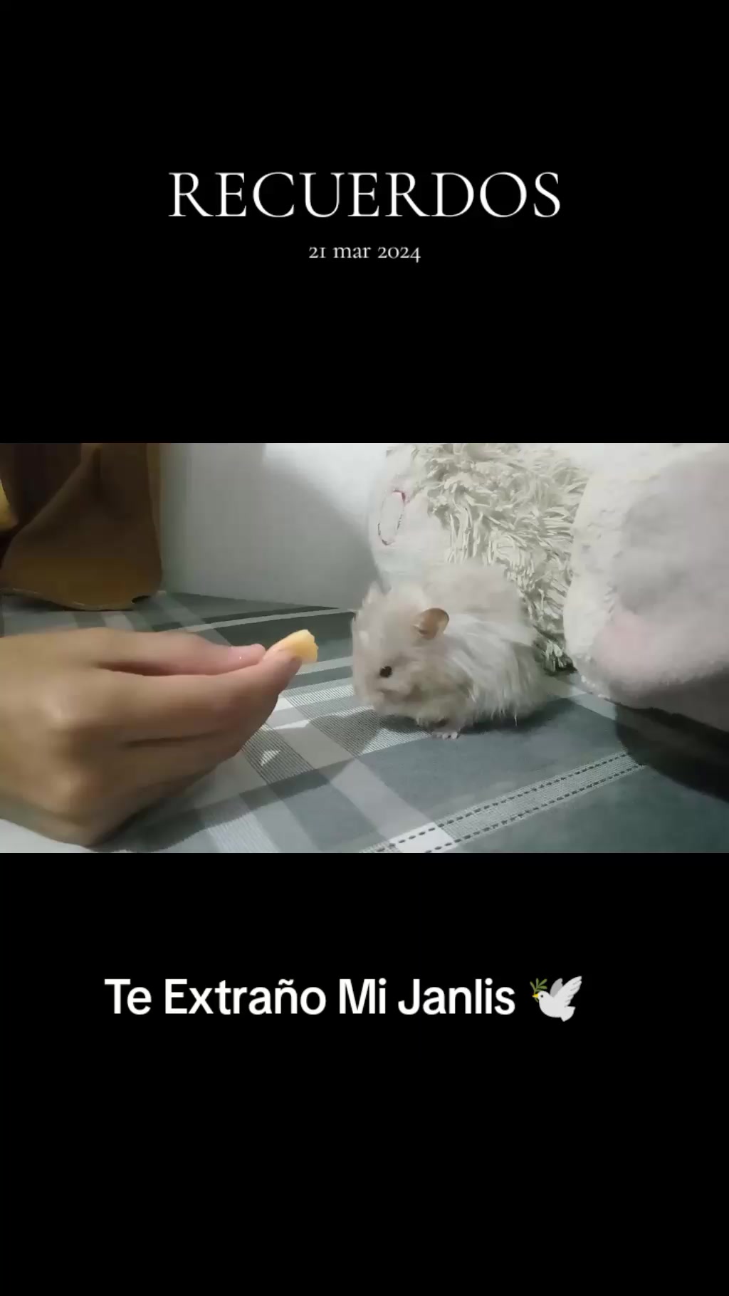 @Yexi Hern&aacute;ndez 🎧🎶
