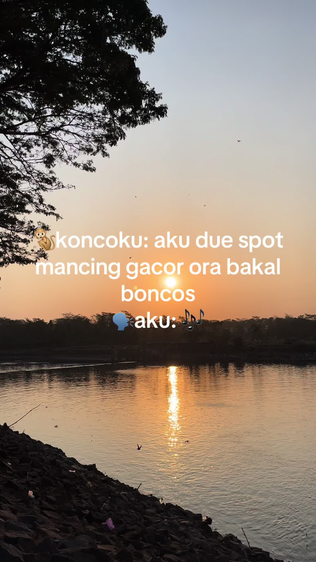 @Juddddd setrekk