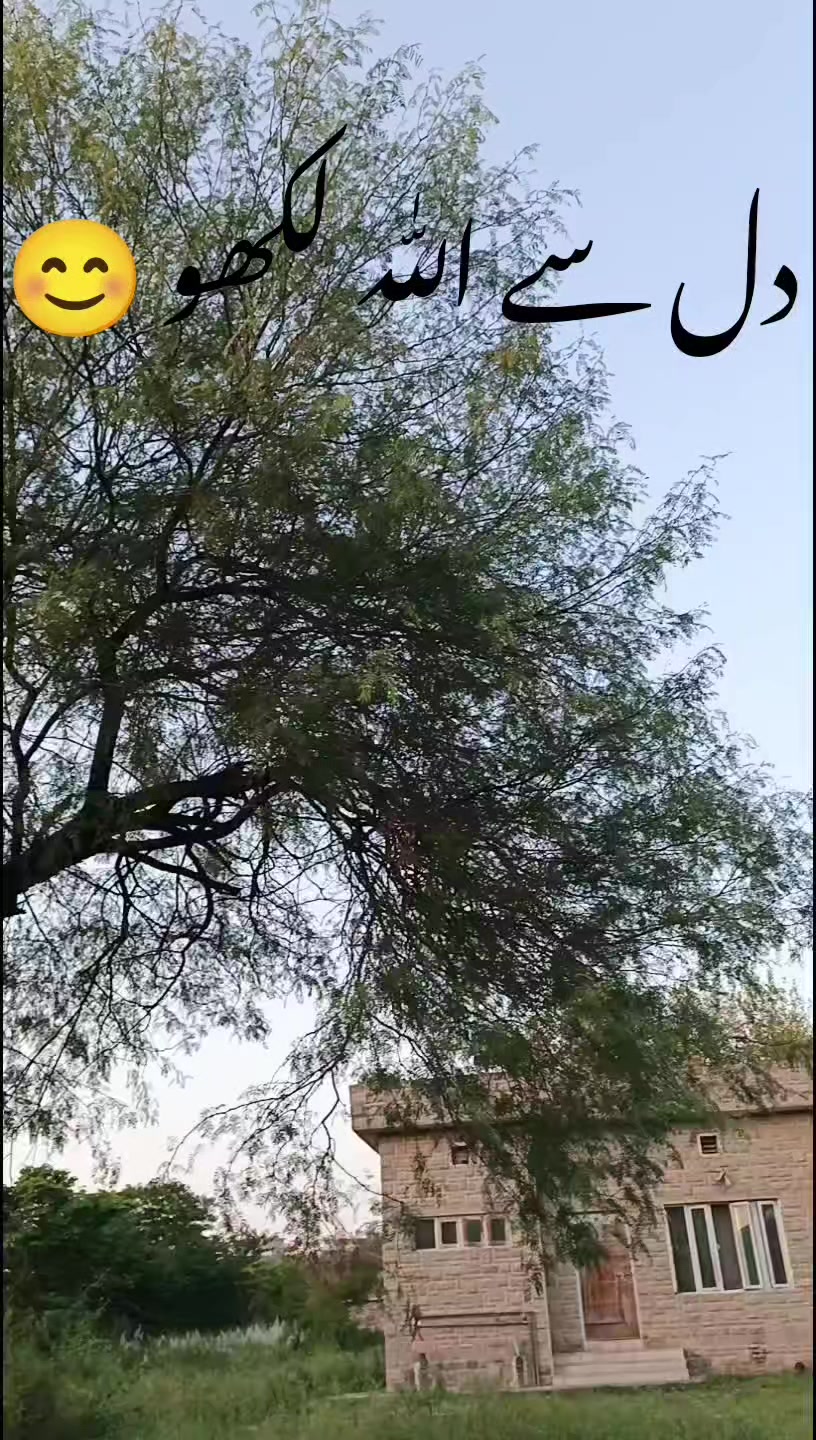 @ISLAMIC VIDEOS✅