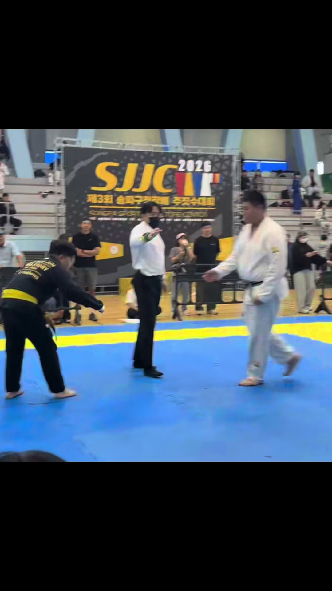 @bibigo_mma