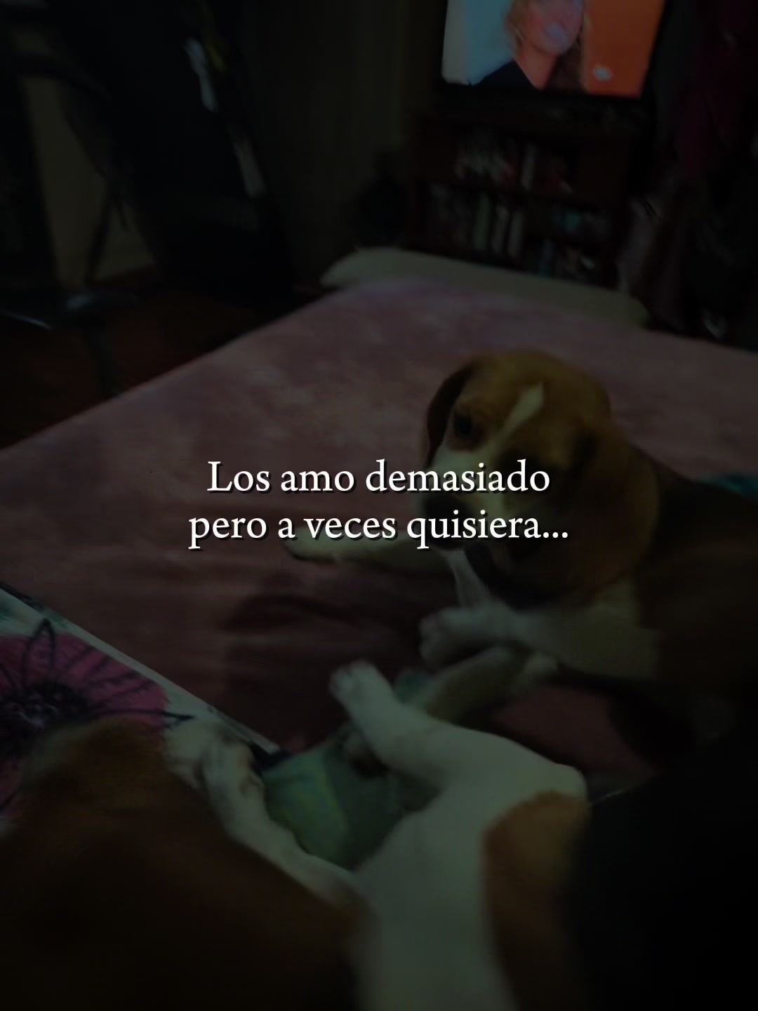 @Ceci Lulita