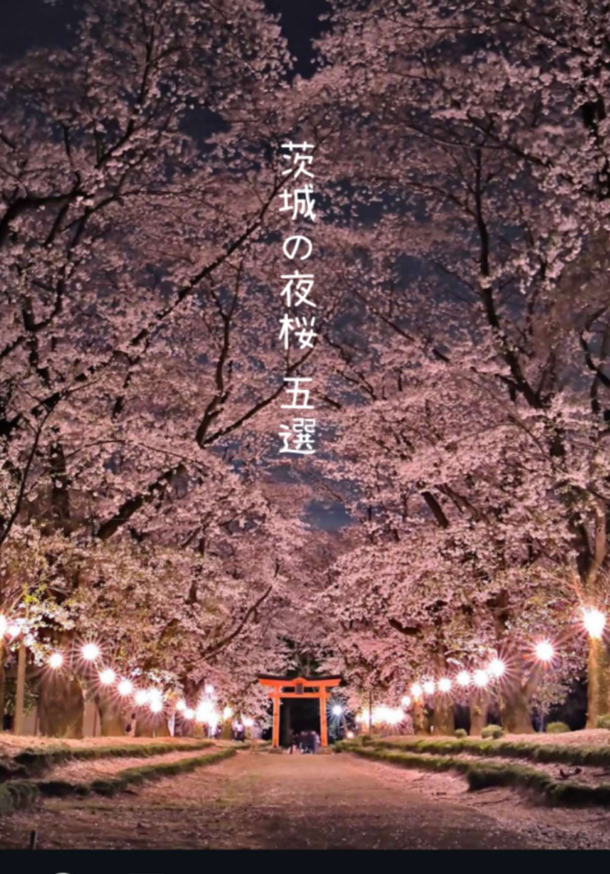 @けん/茨城の絶景