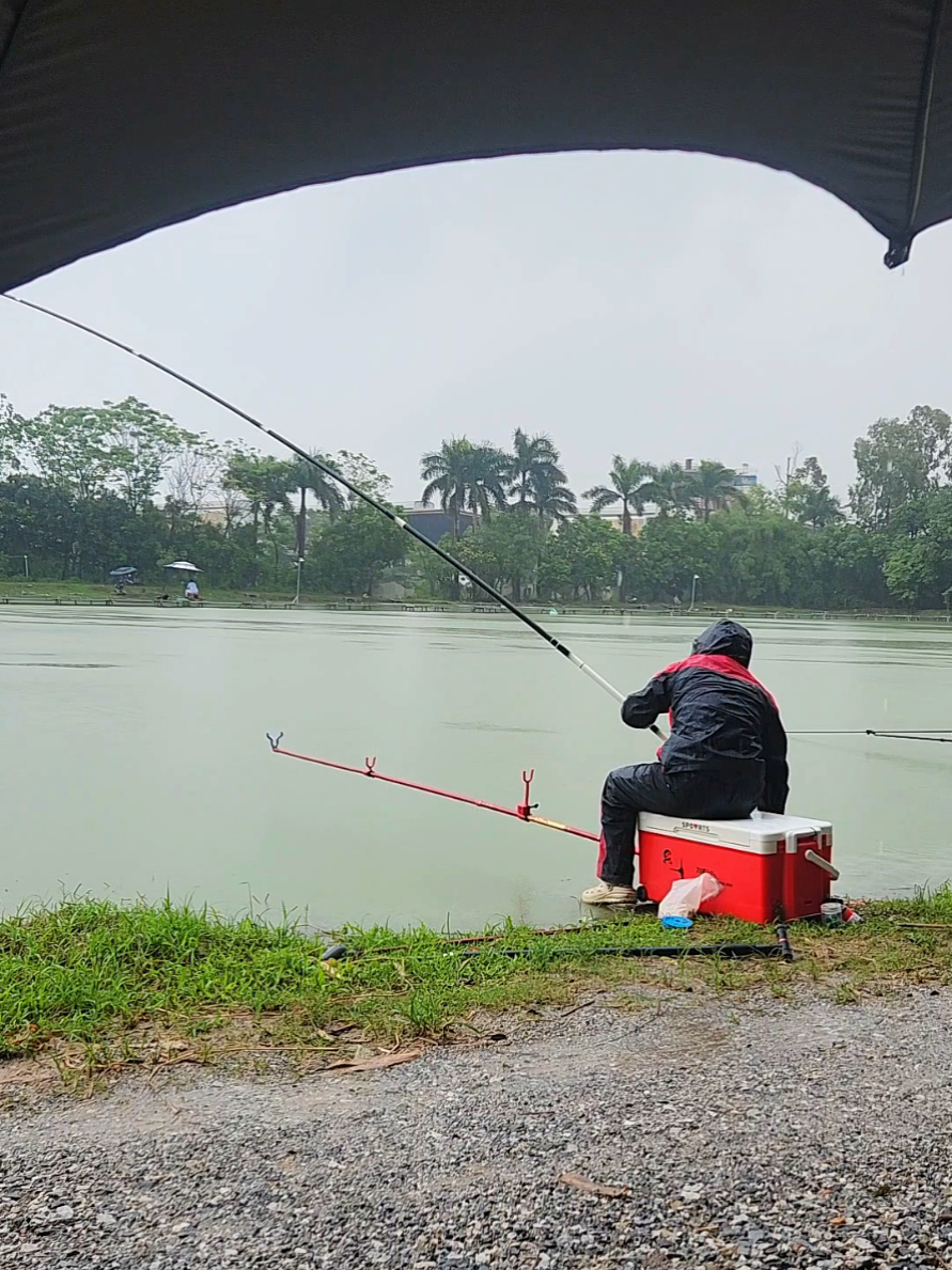 @Dũng Nguyễn Fishing