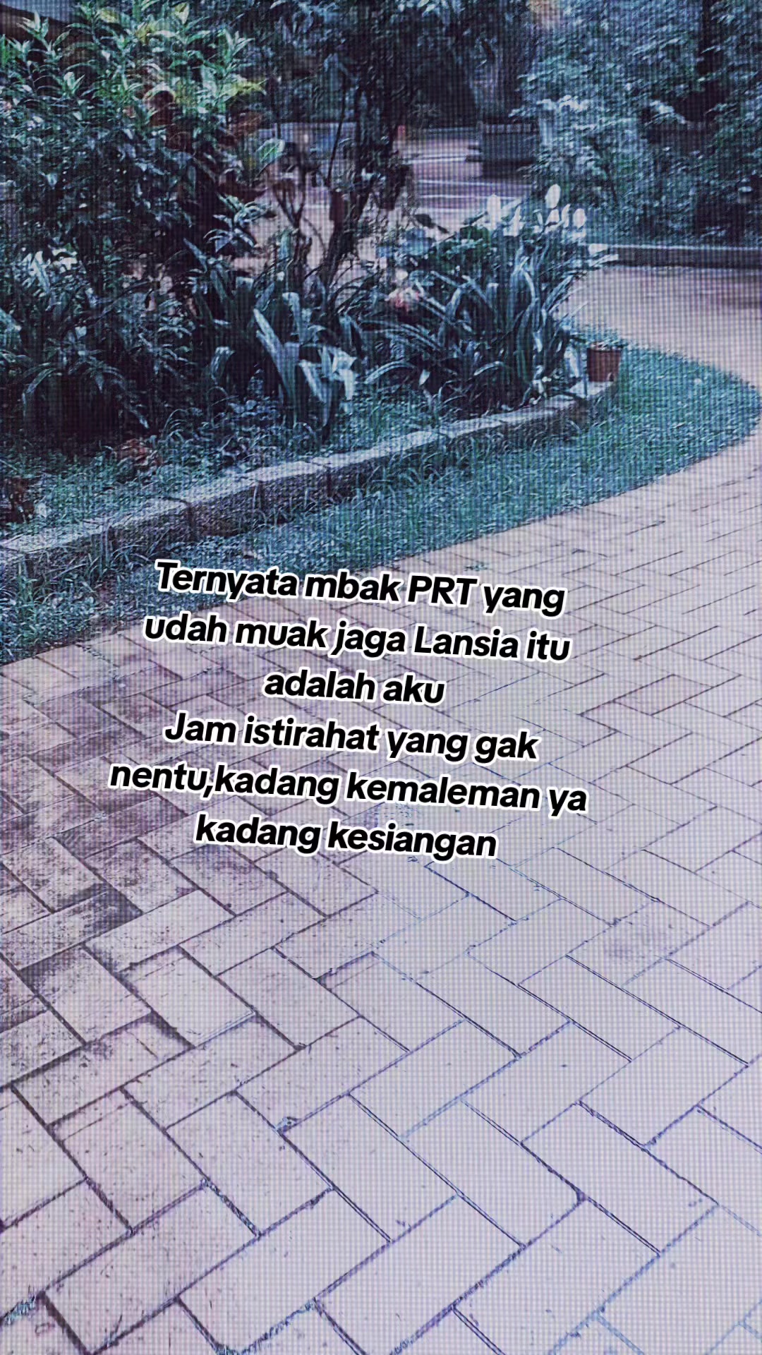 @namujia
