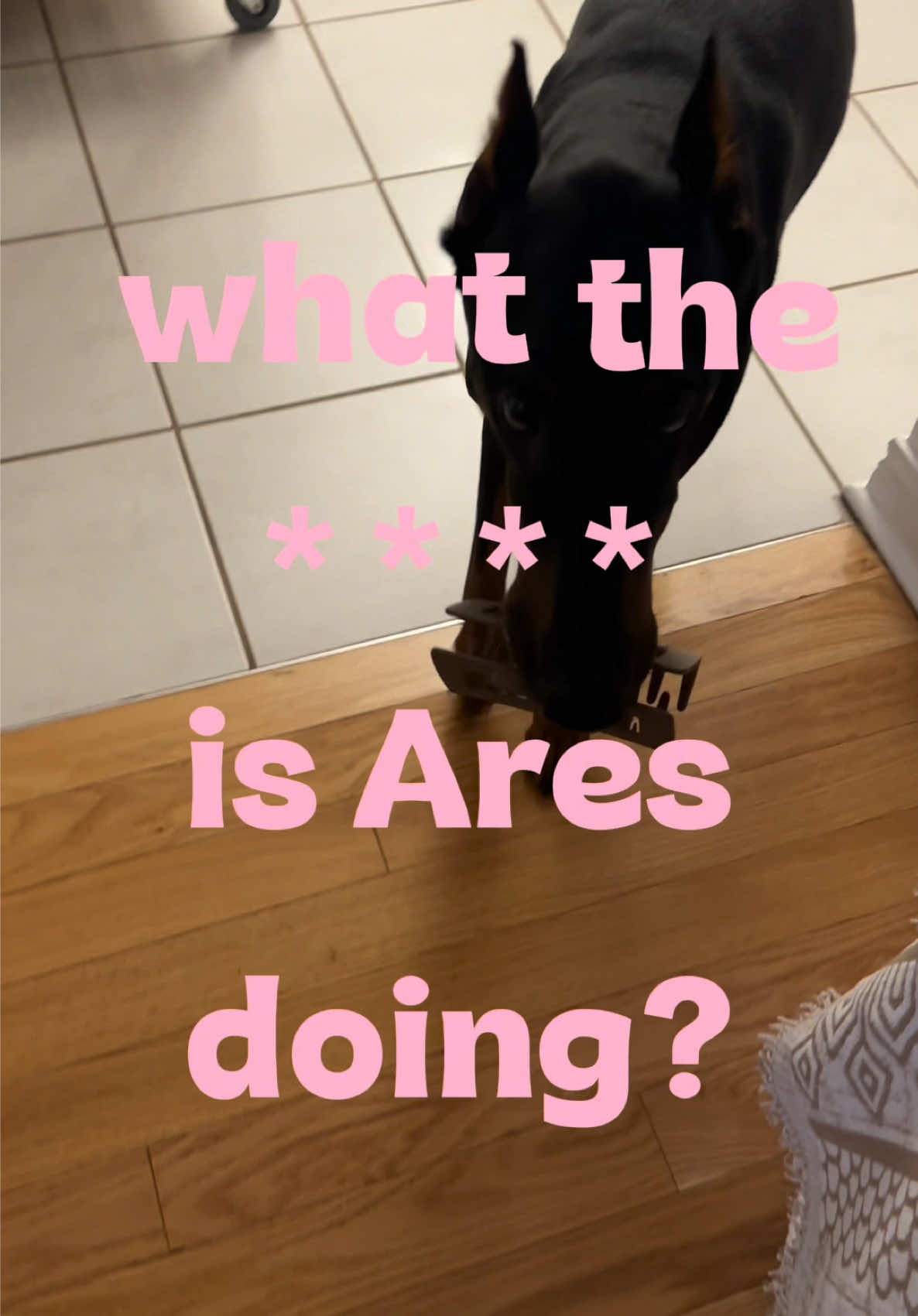@Andrea & Ares