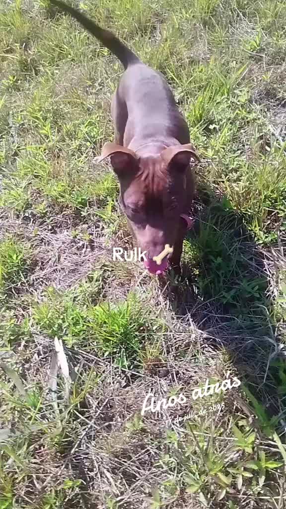 @Thaynarinha