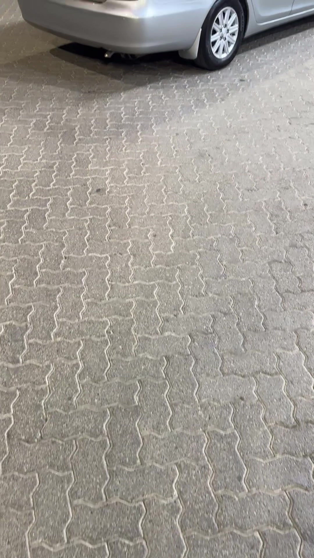 @ᗩ ★