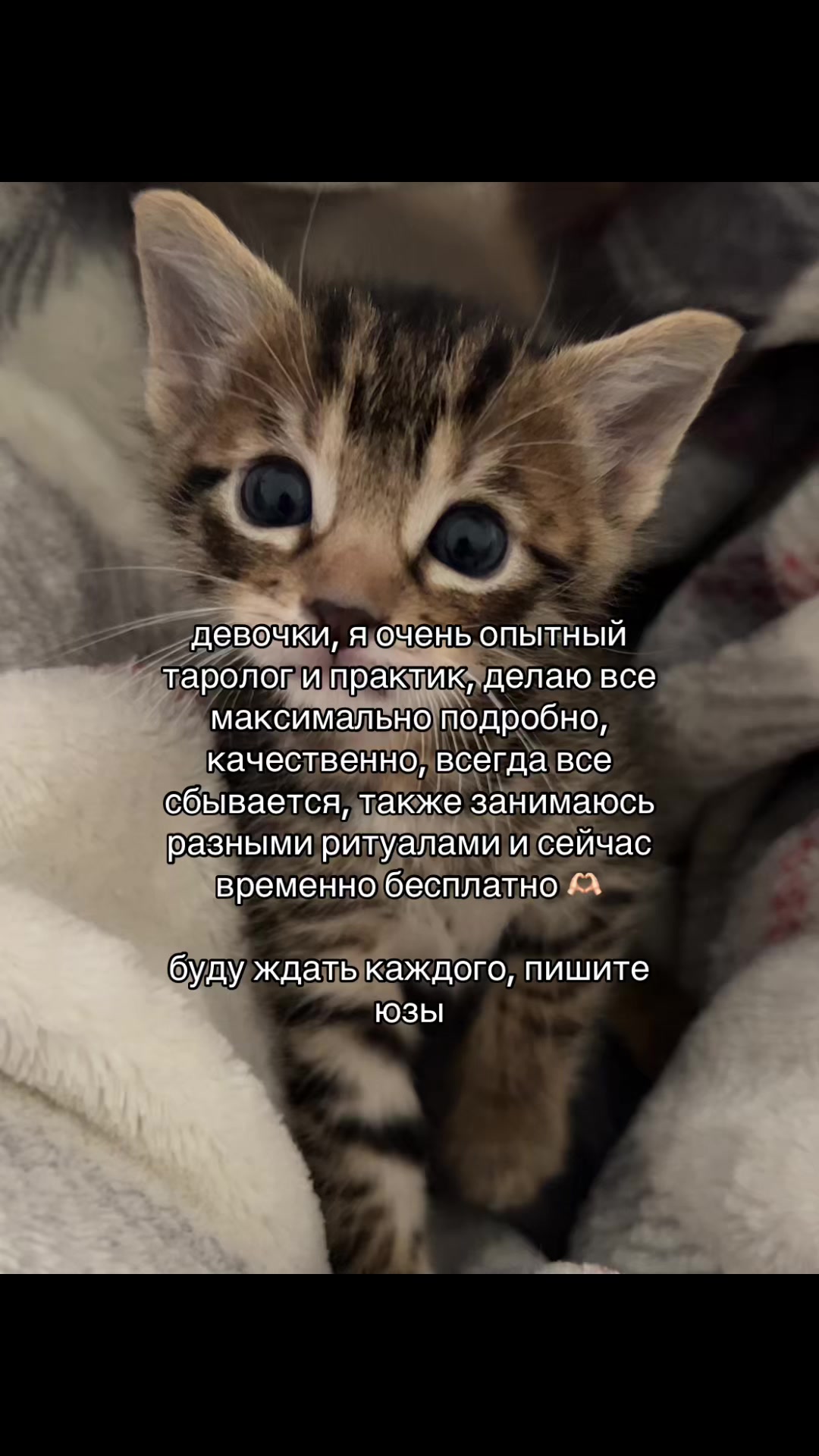 @prtarr0tka