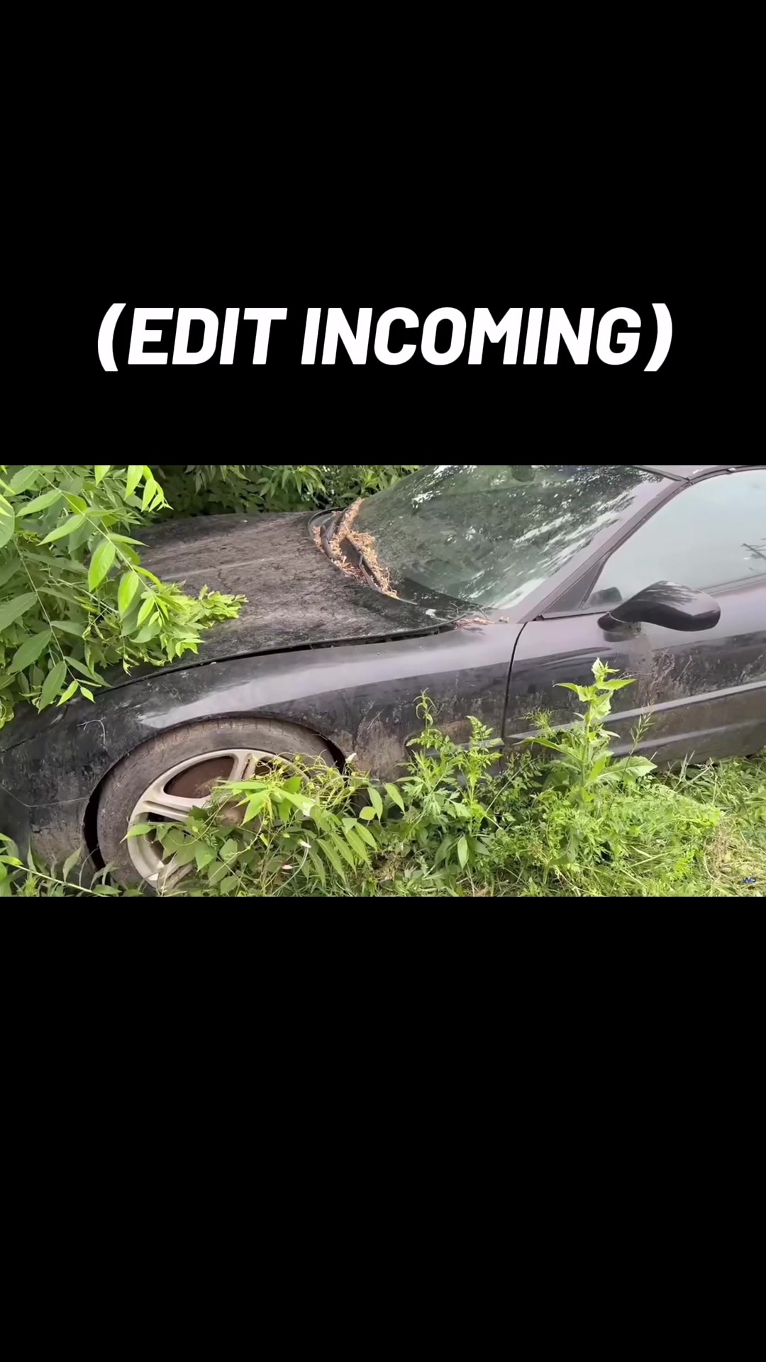 @ezt_edits