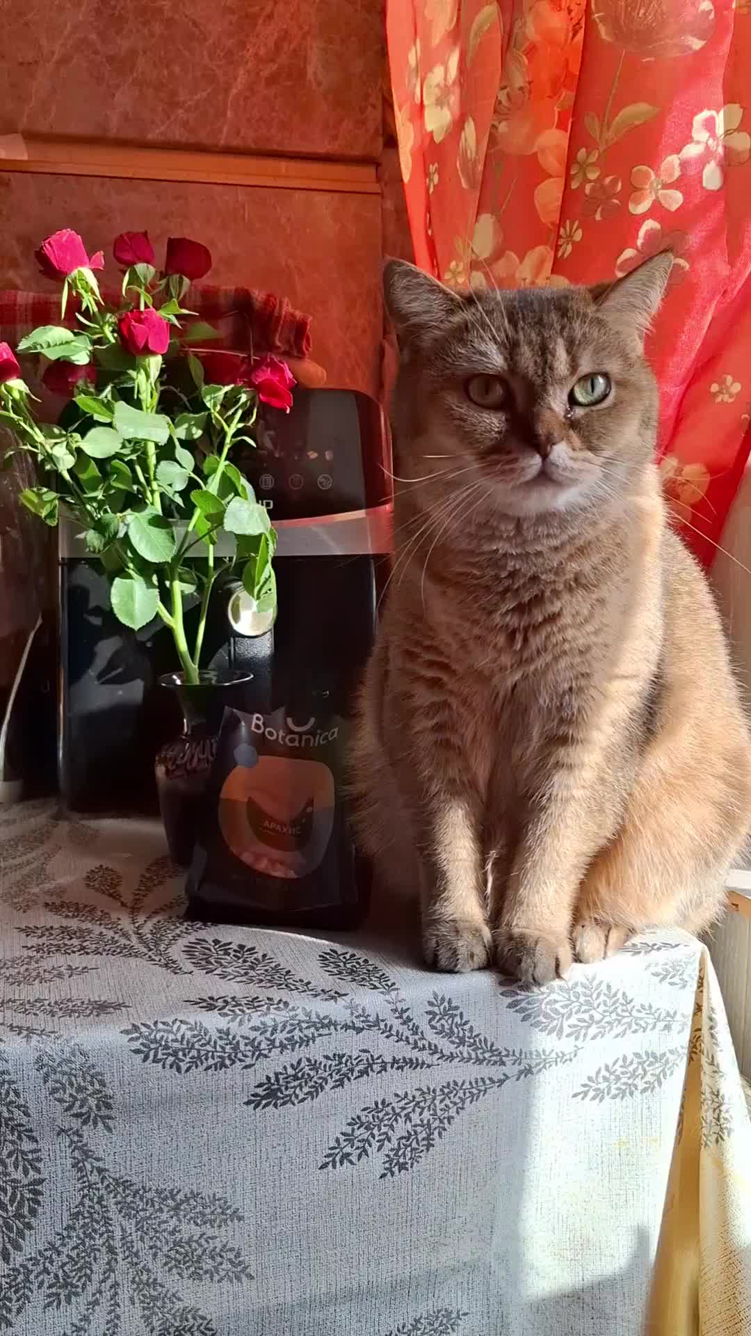 @Жанночка