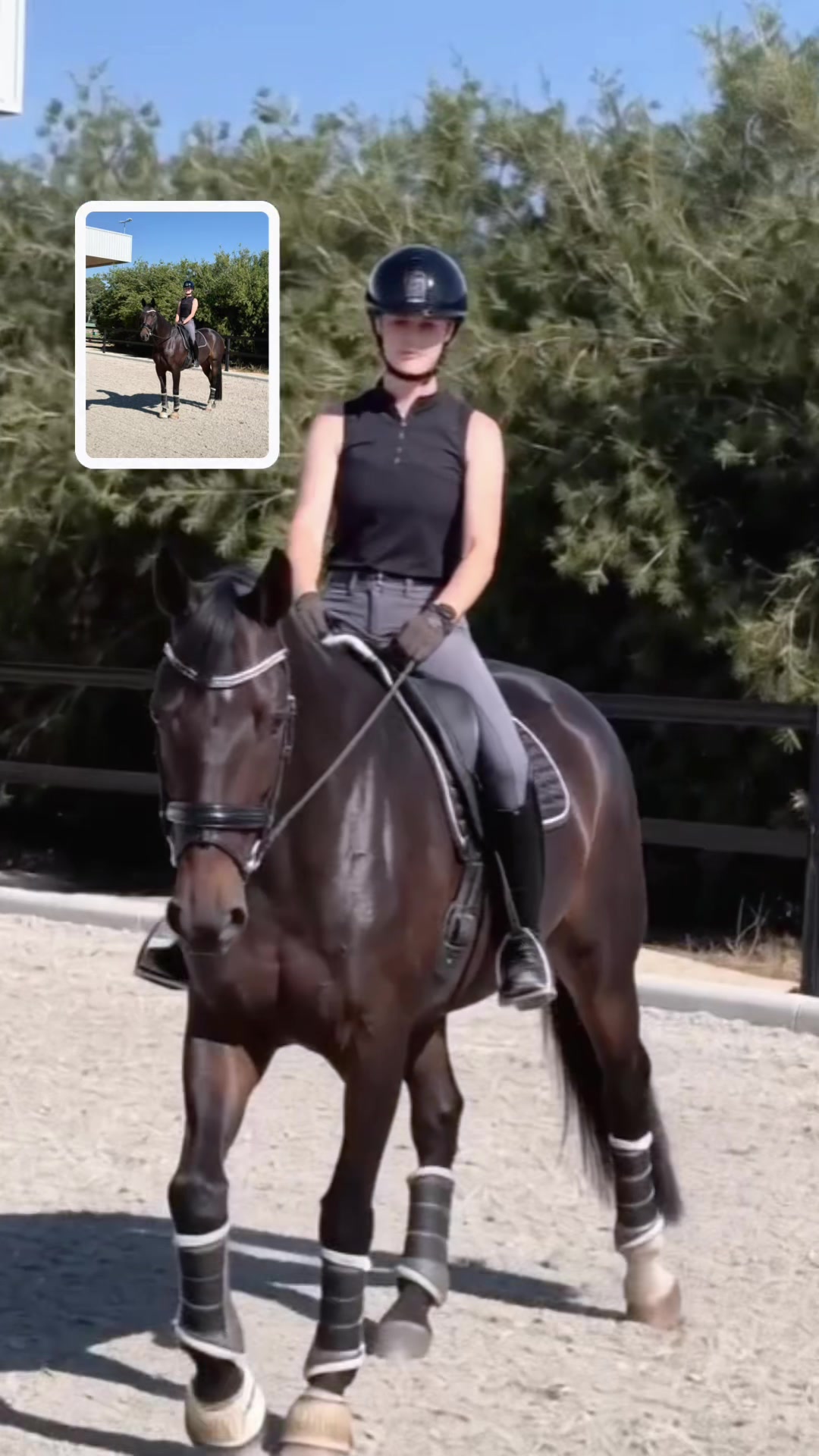 @Suzin- Para equestrian