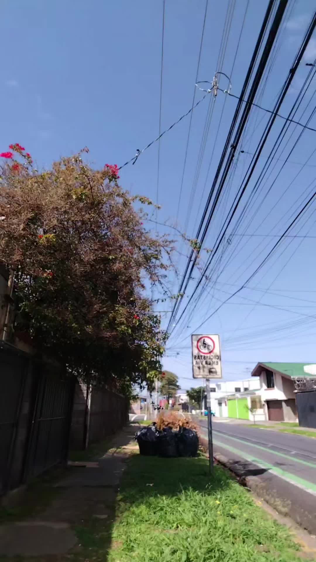 @MAURICIO ALVARADO DELGADILLO
