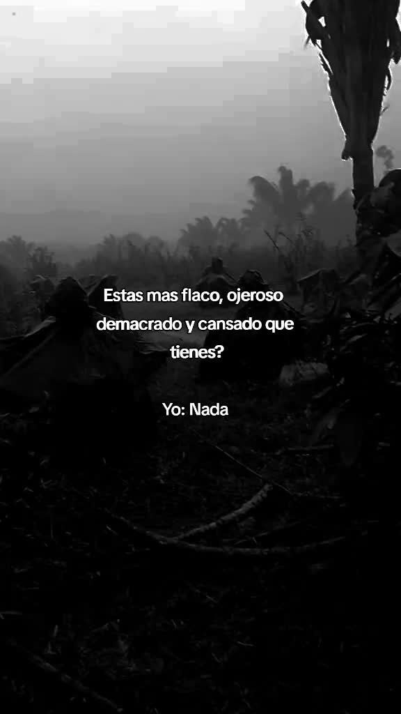 @@Zapata✅🎭333🍀