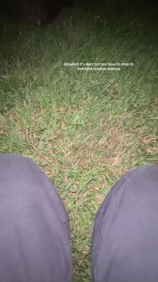 @𝓢𝓪𝓶.