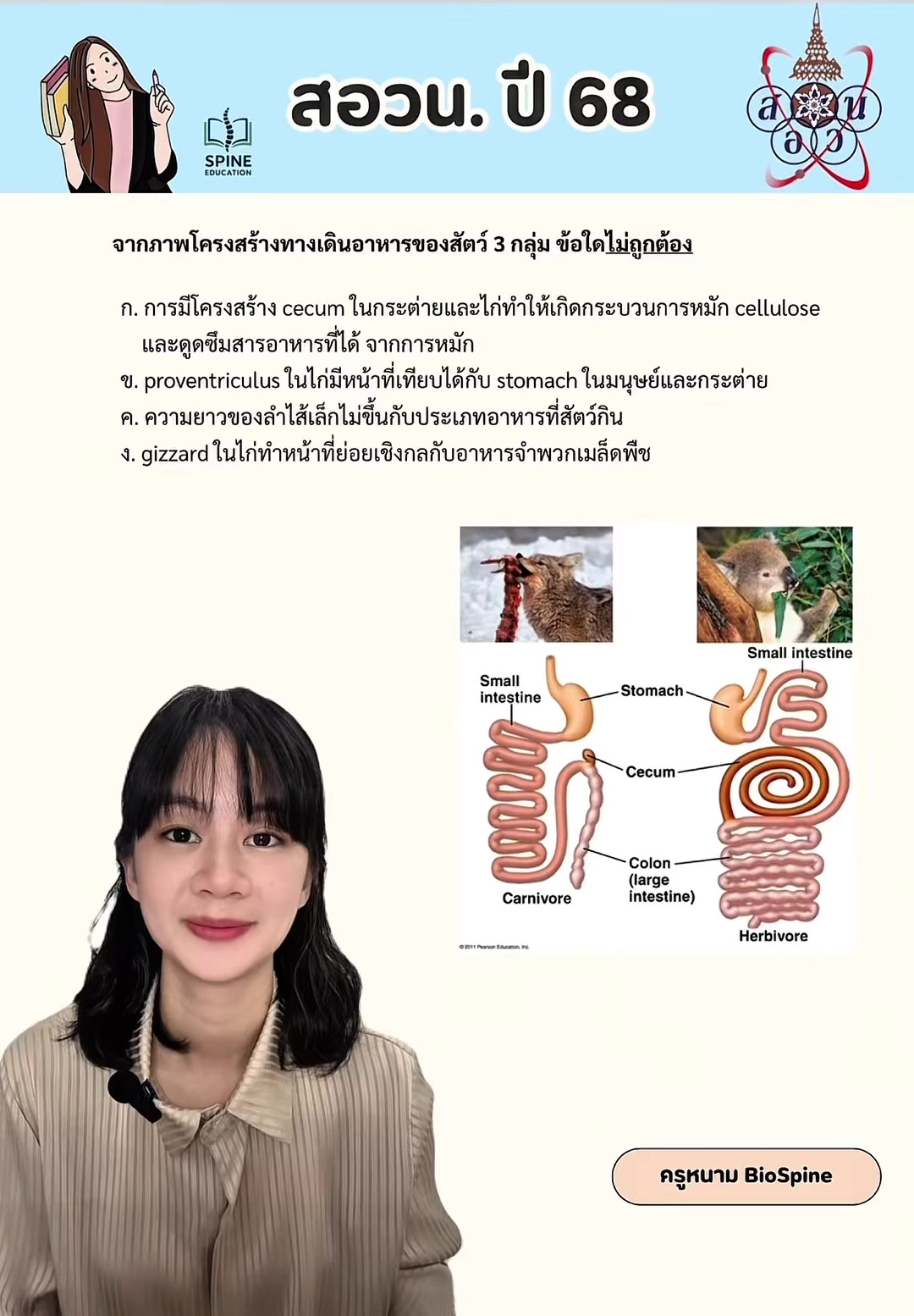 @Biospine by ครูหนาม