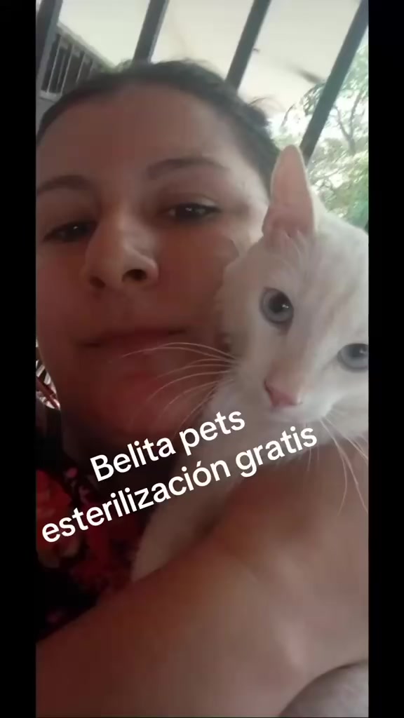 @BelitaPets