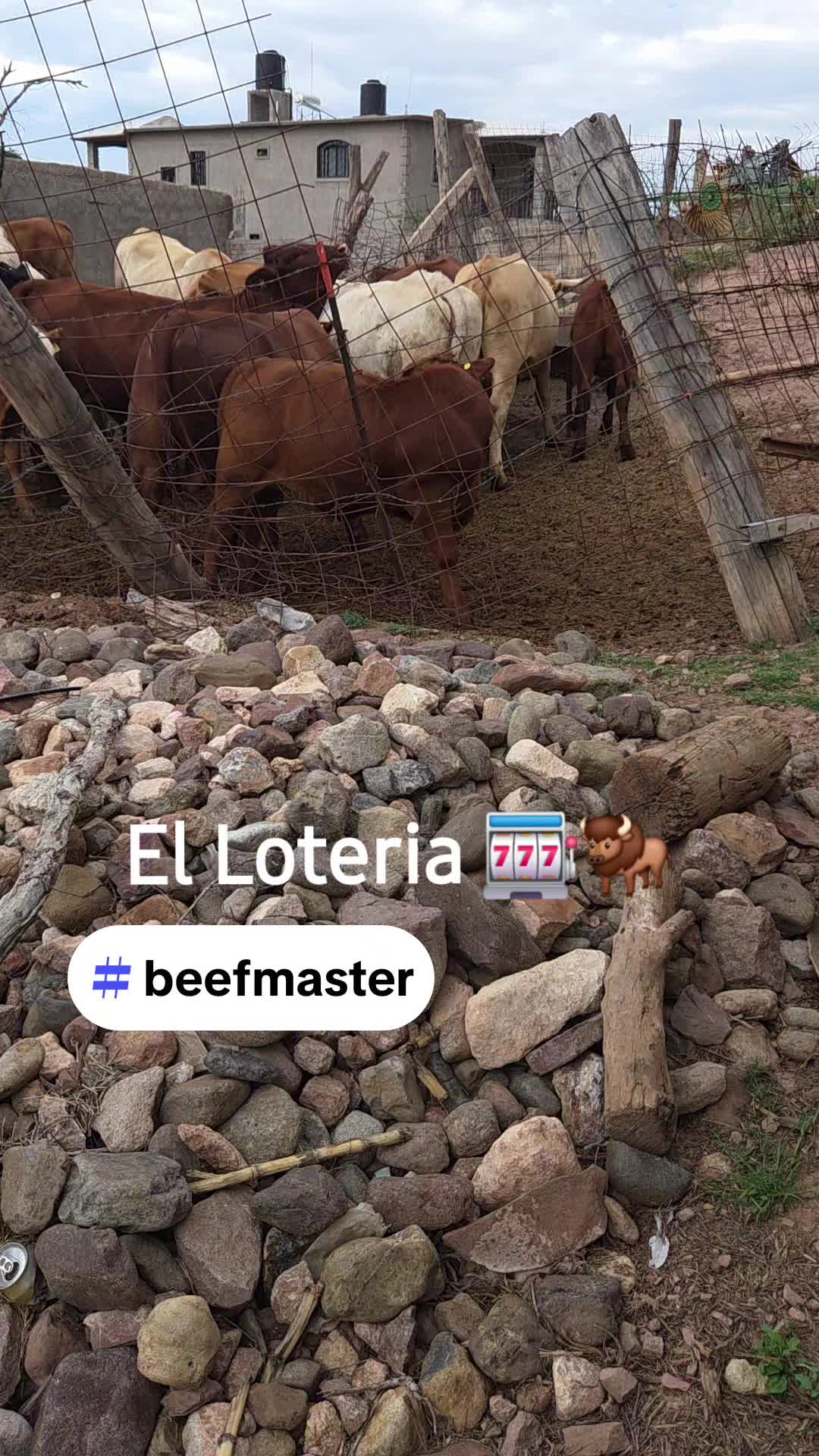 @BarbaCerrada0519