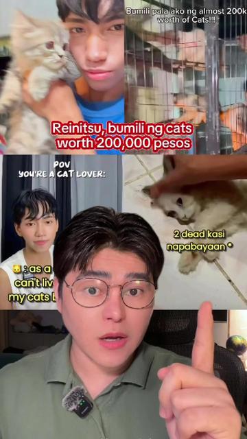 @DeejimonTV 🧿
