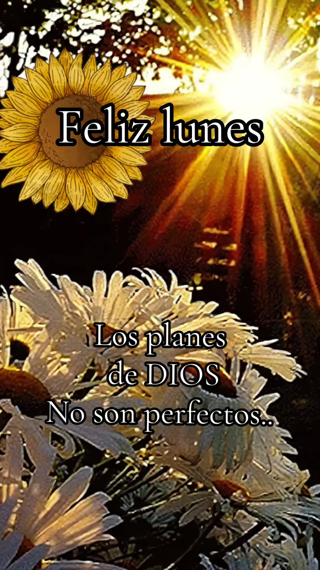 @🍒lucy contenido diario 🍒