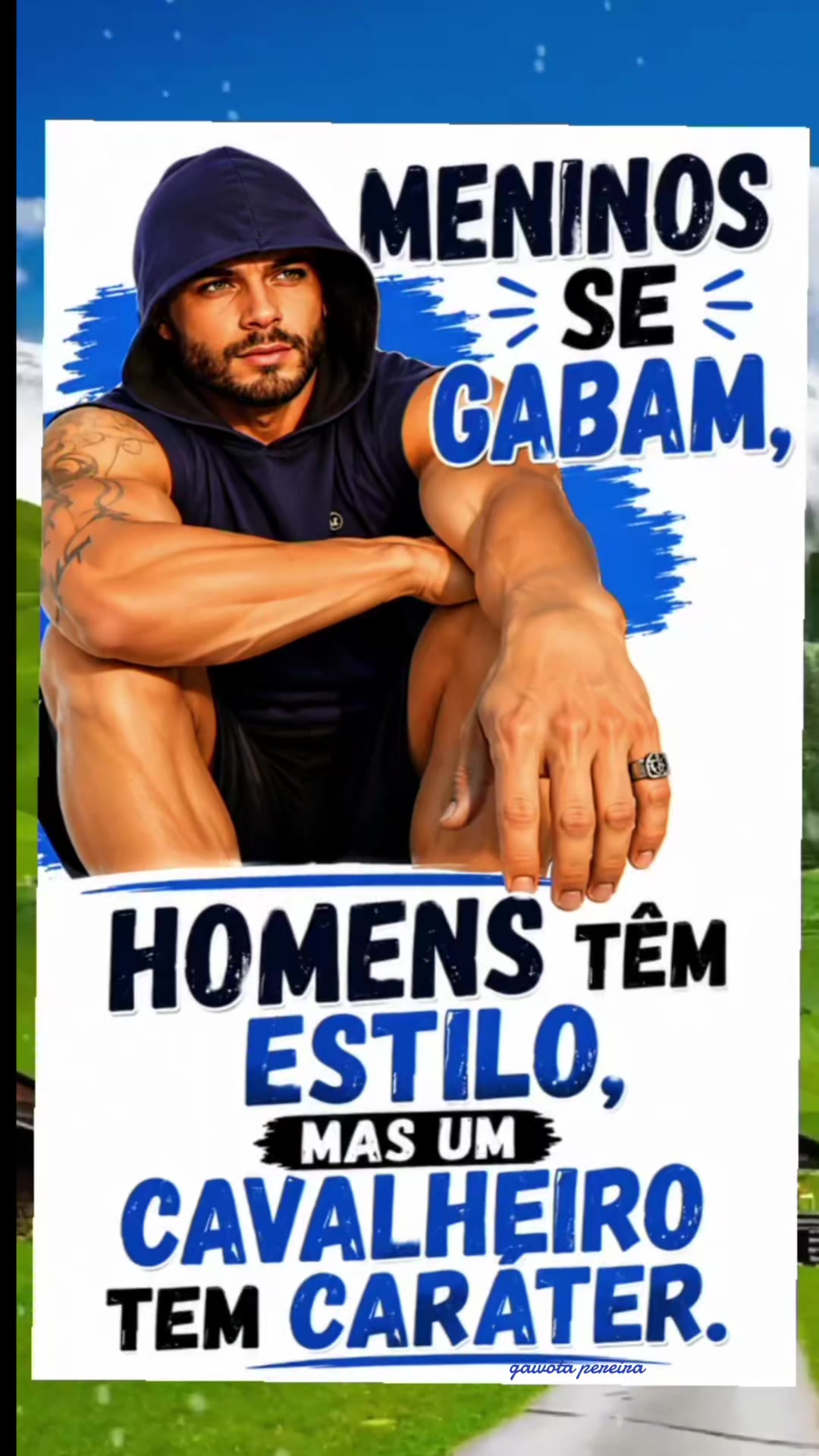 @Gaivota