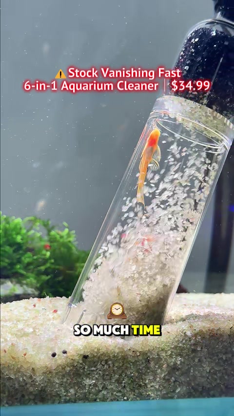 @AQQA Aquarium Store