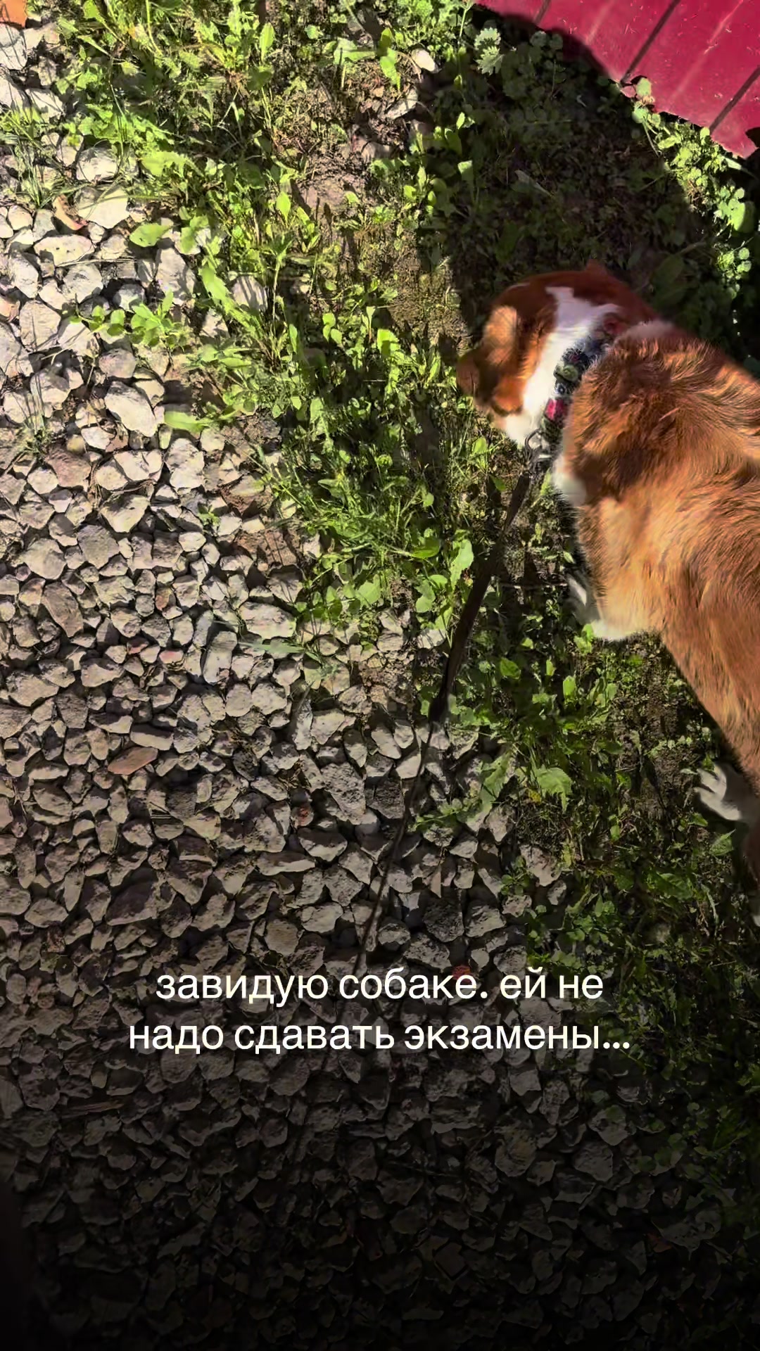 @Llil читай описание 🍒