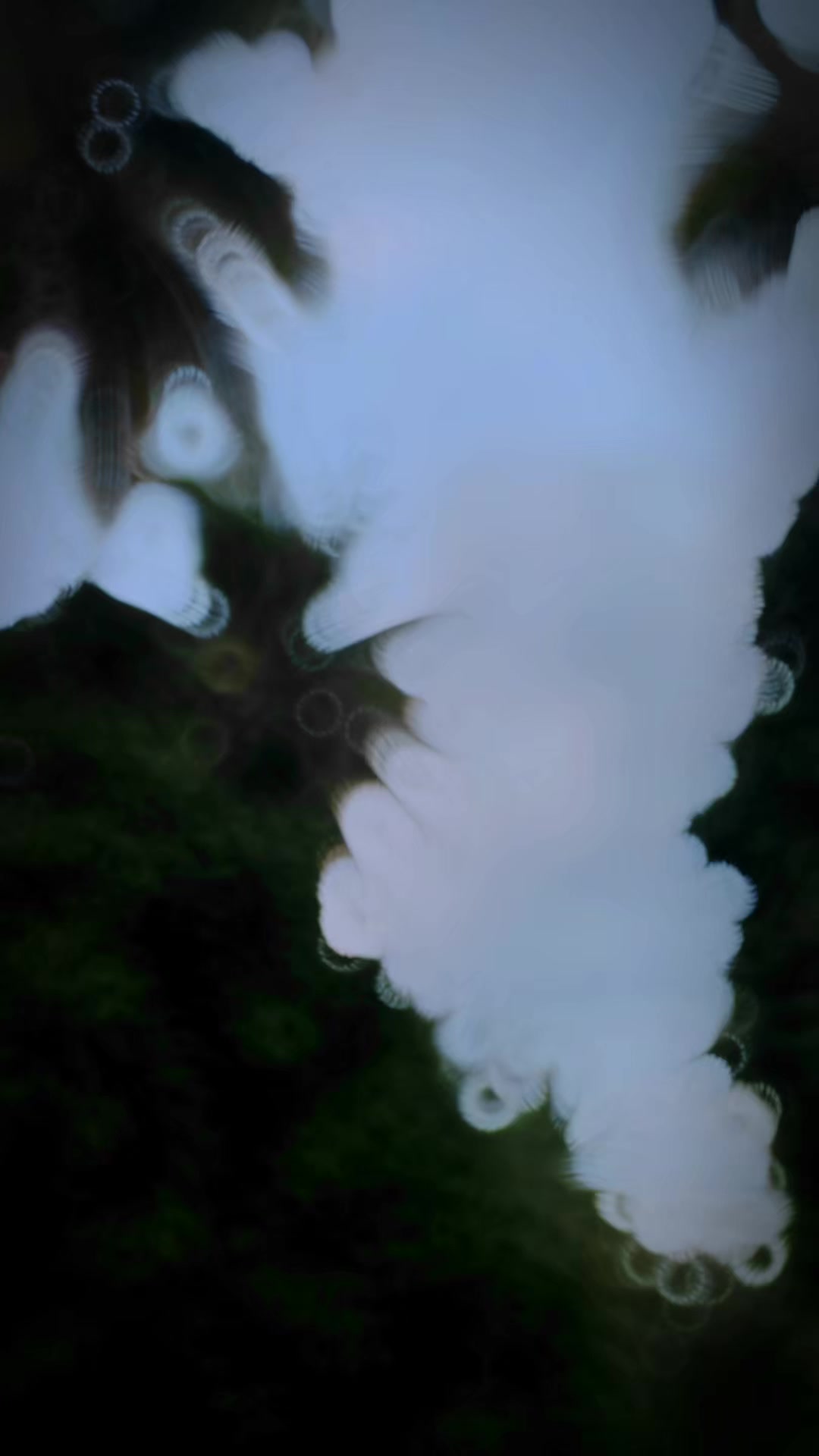 @JMCF