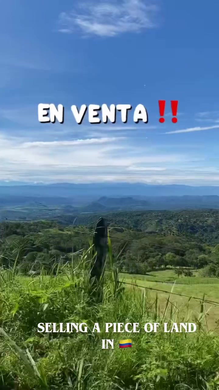 @Luisa Aldana