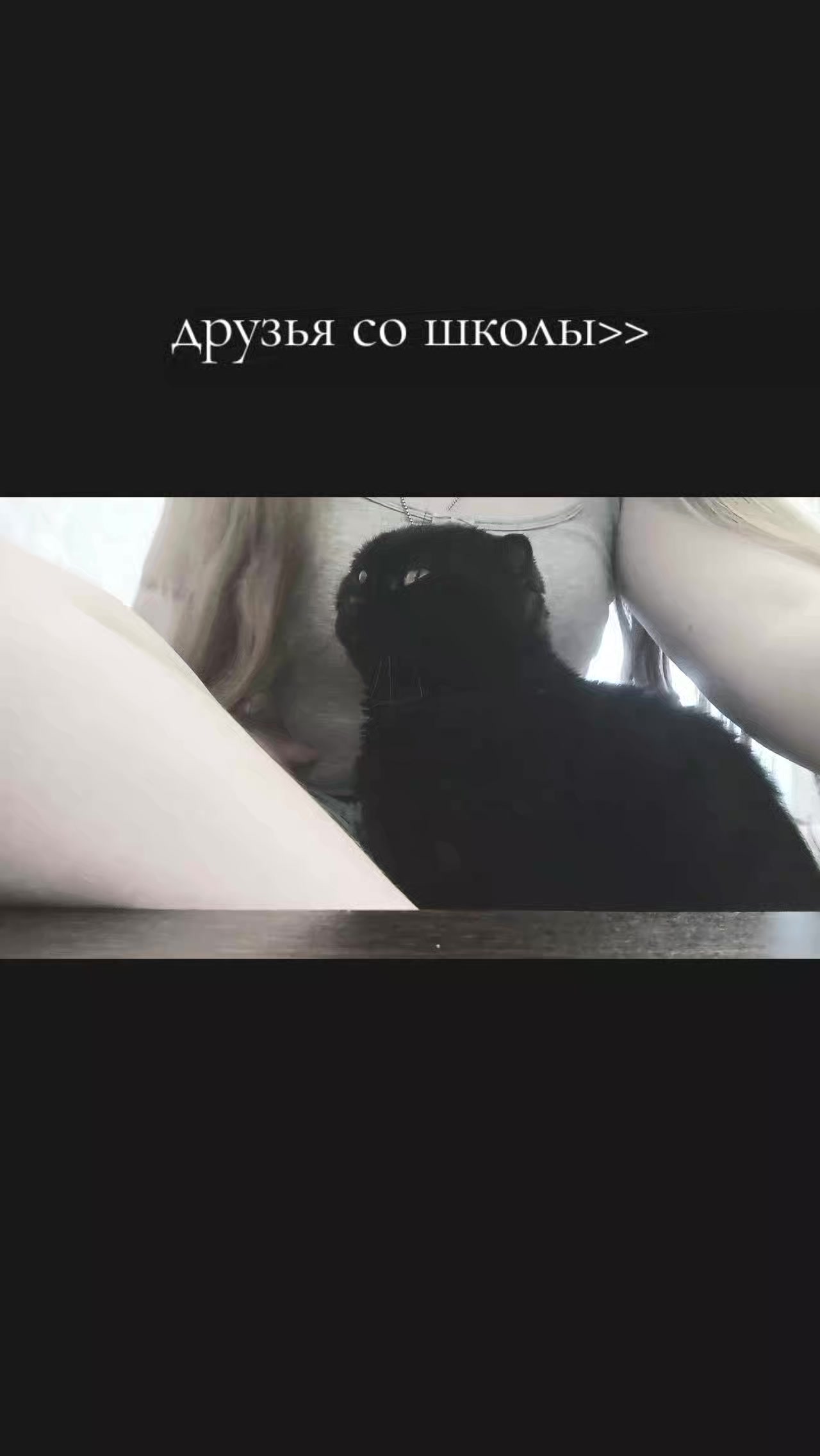 @киса🖤