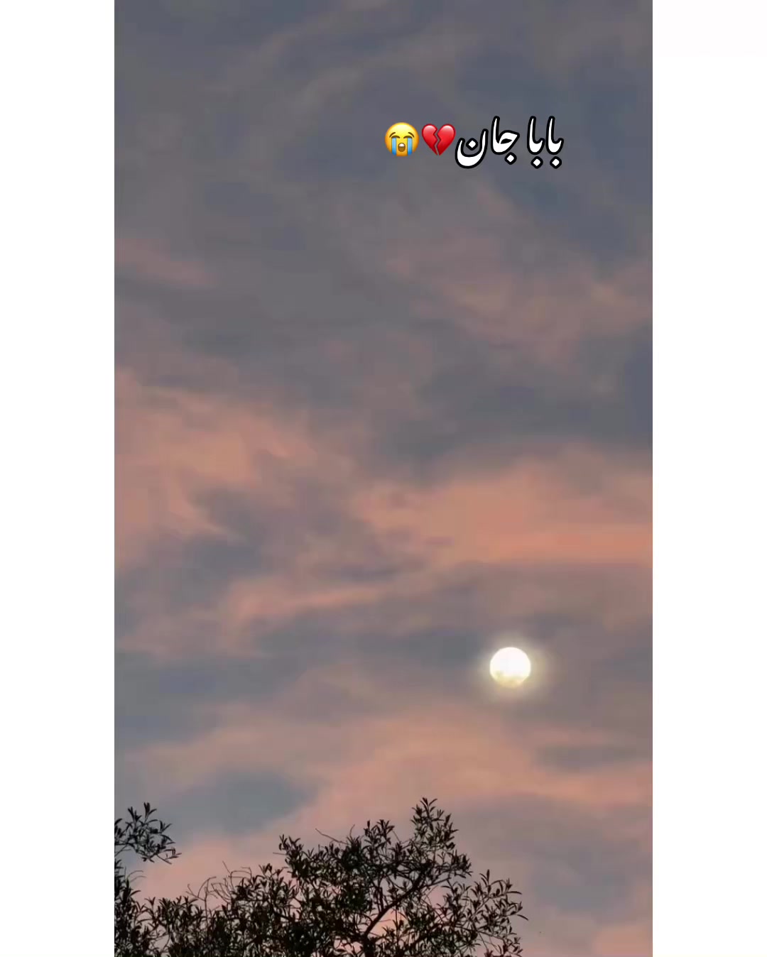 @⚜️𝐊𝐇𝐎𝐊𝐇𝐀𝐑❤️🩹