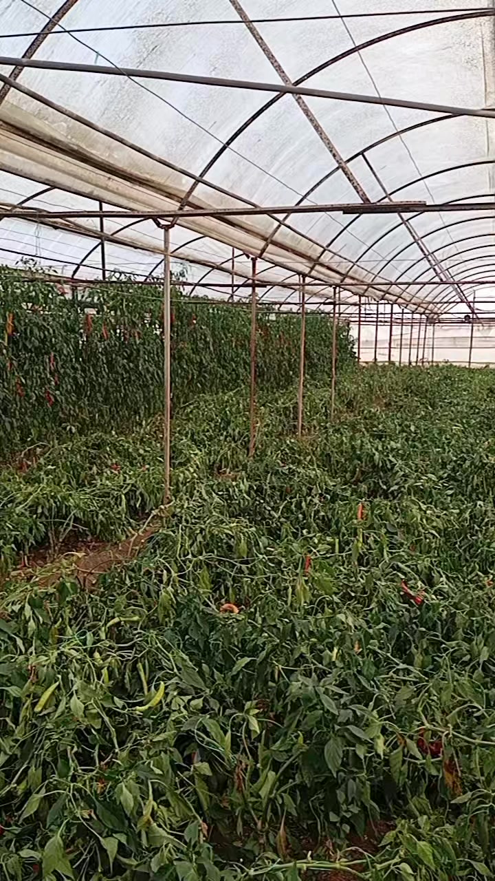 @Yasin Bozkaya