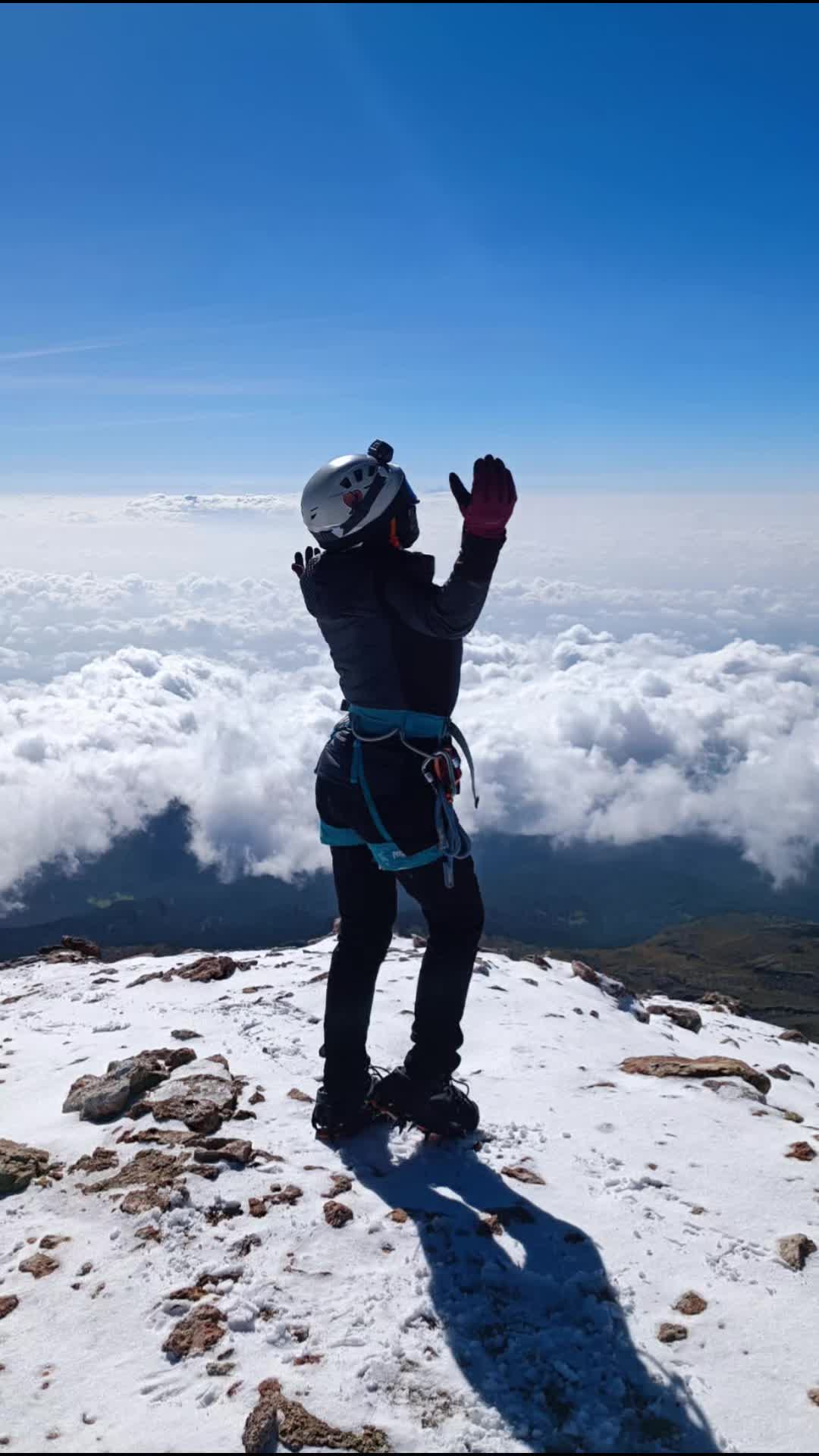 @Loba_de_la_montaña