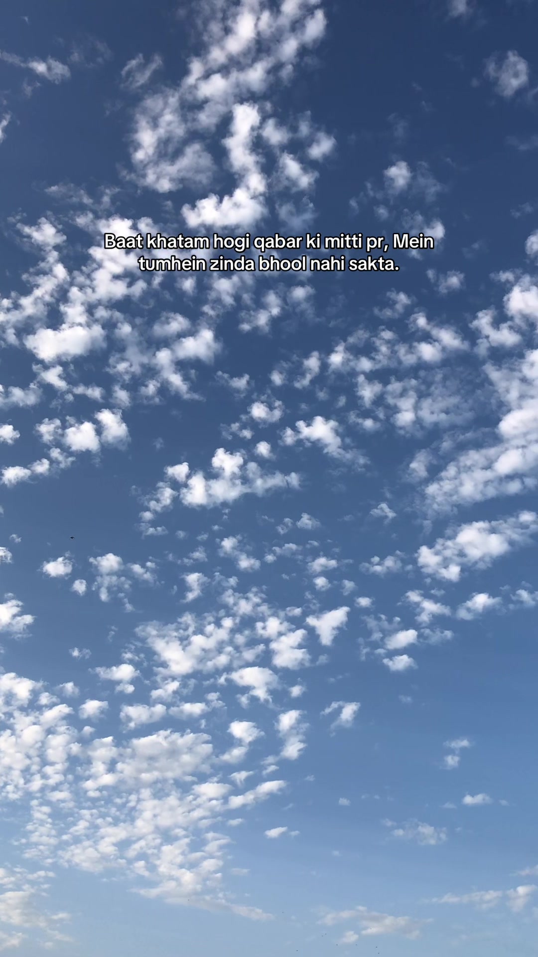 @𝘔𝘰𝘪𝘻.