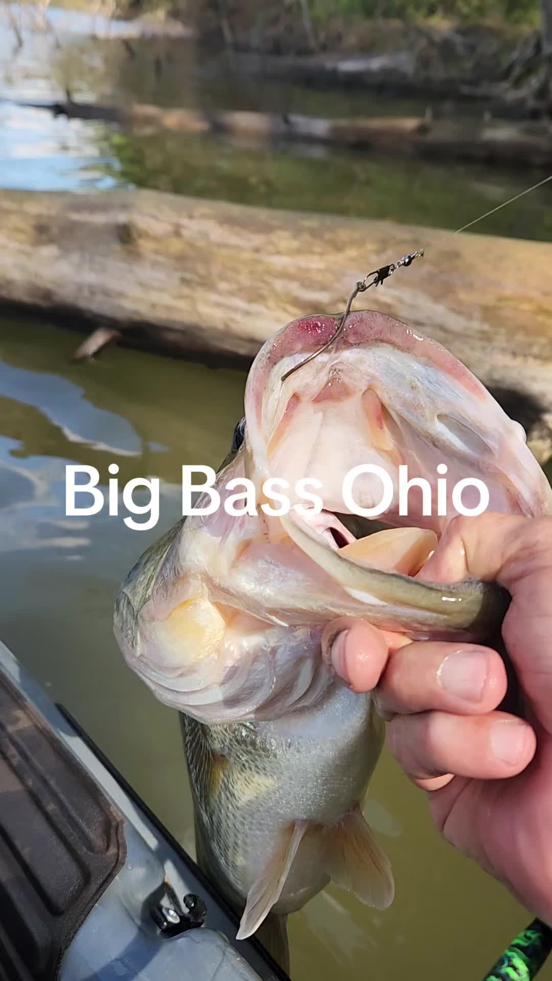 @3dprintedlures FWC