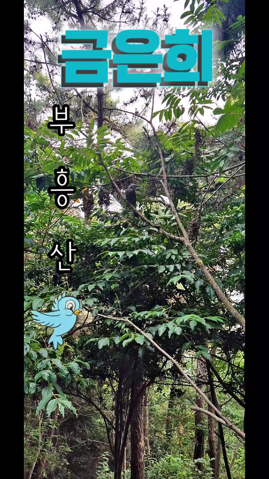 @금은희