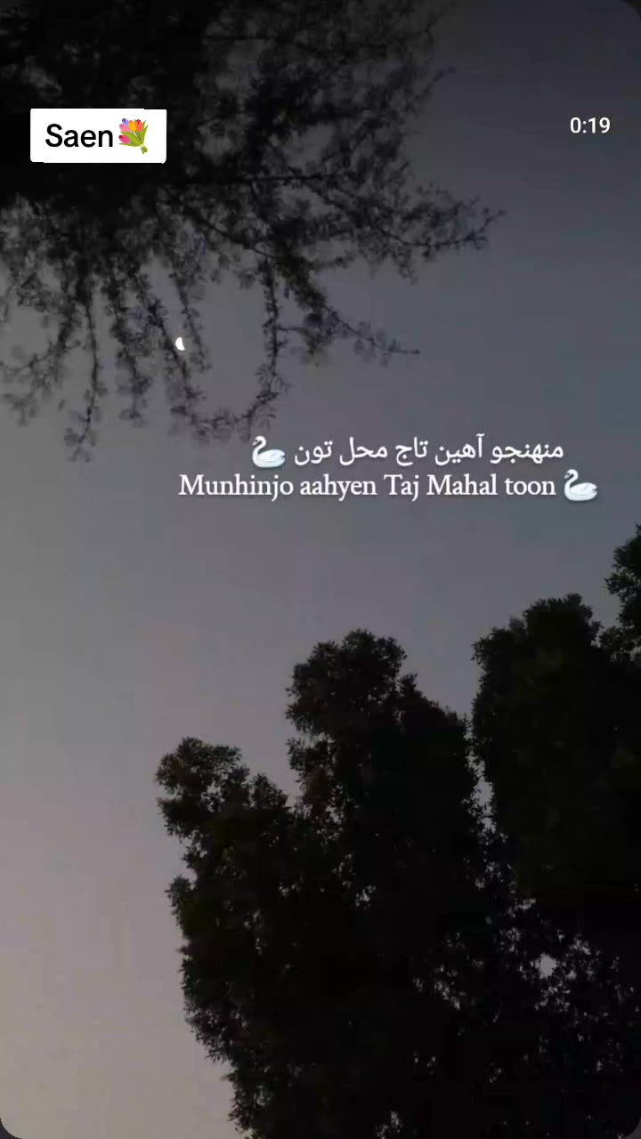 @Zarqa Liaquat Ali