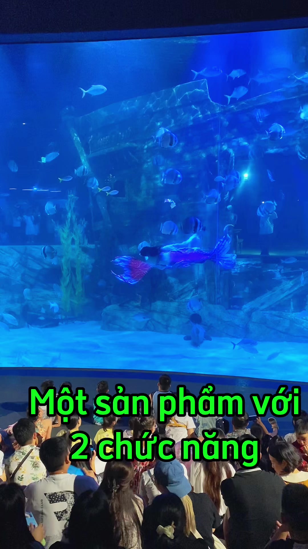 @Phụ kiện &ocirc; t&ocirc; Ho&agrave;ng B&aacute;ch