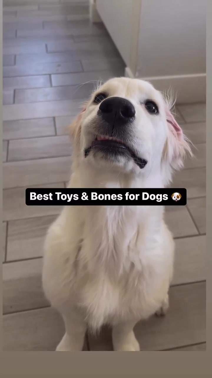 @PetFitness