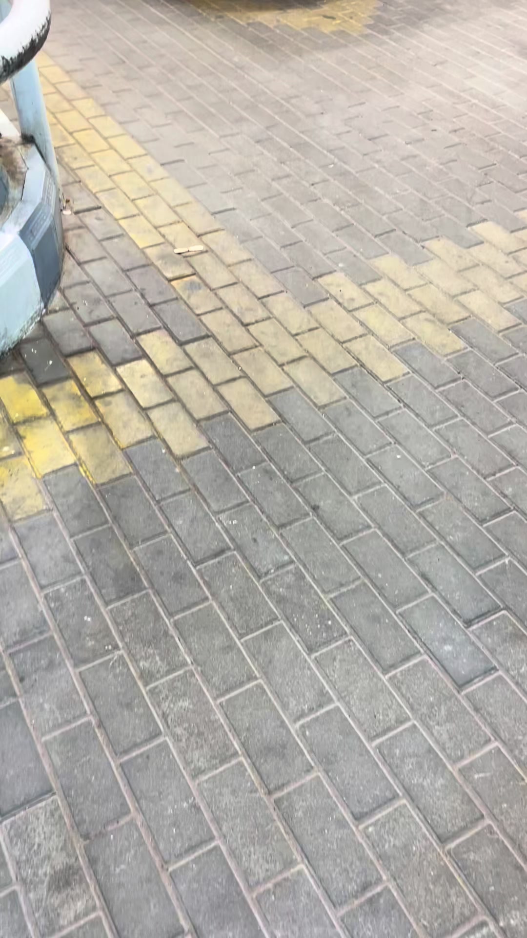 @🇹🇷فلوُستر