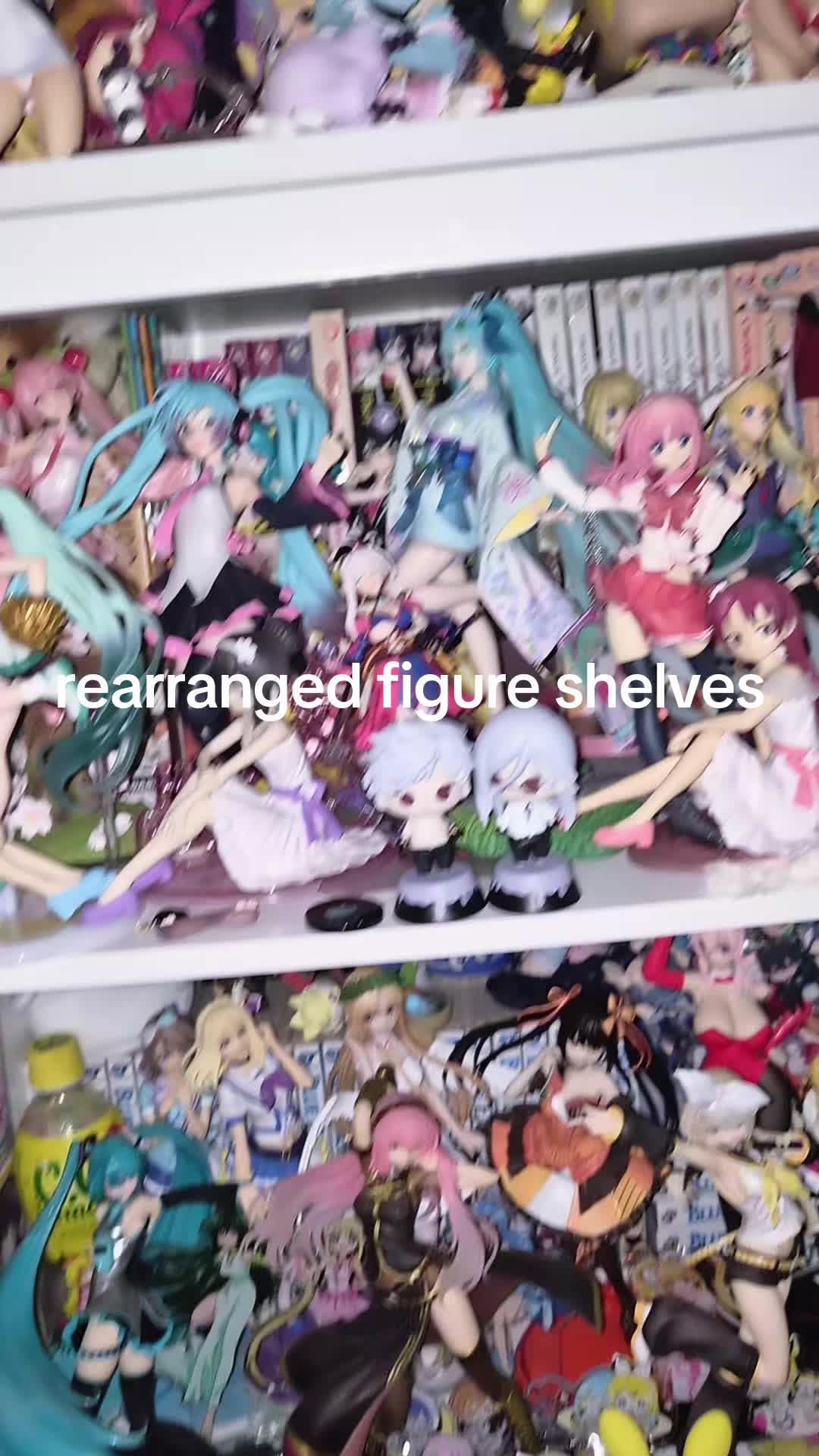 @Sakura Cardia