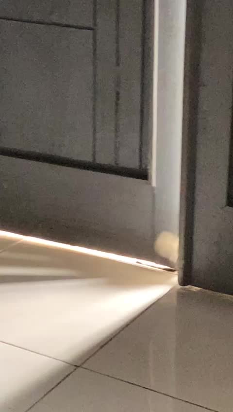 @Rania28libra