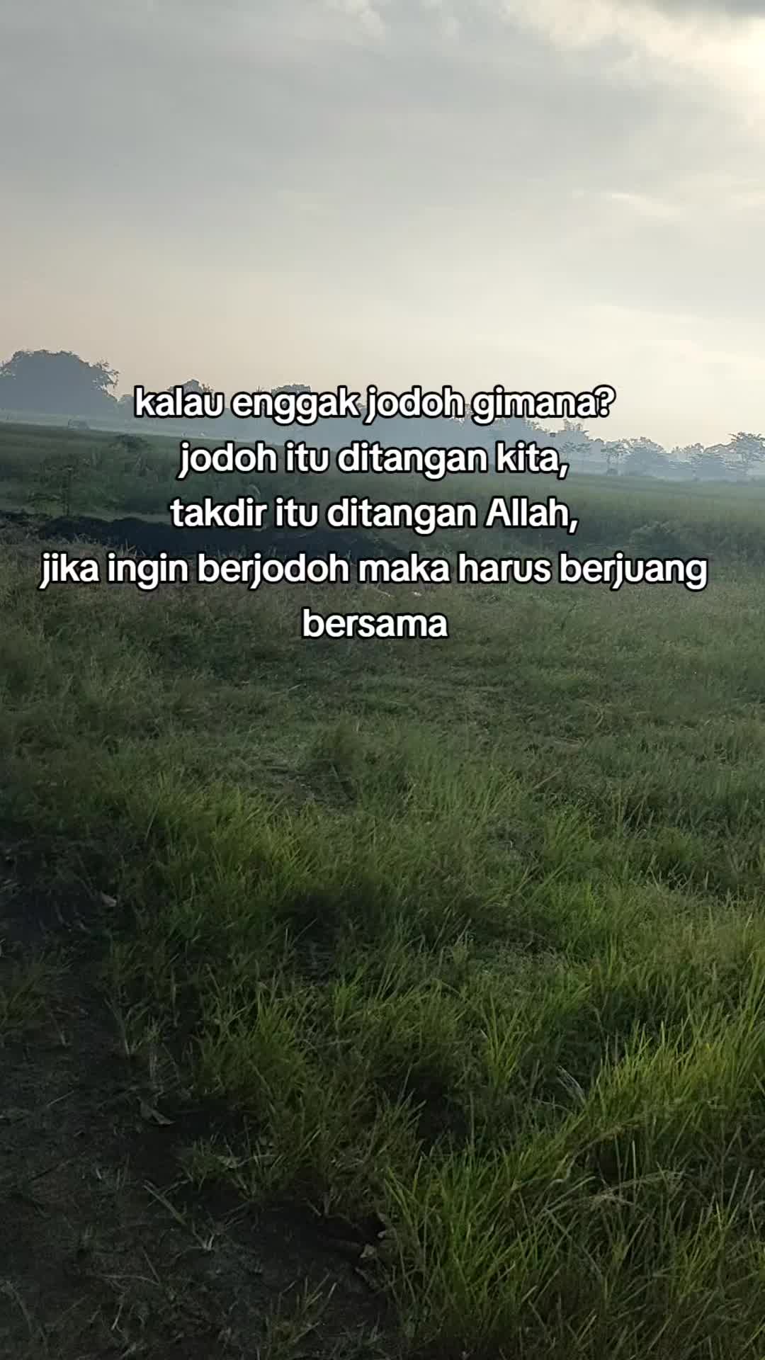 @Rohmatul A2