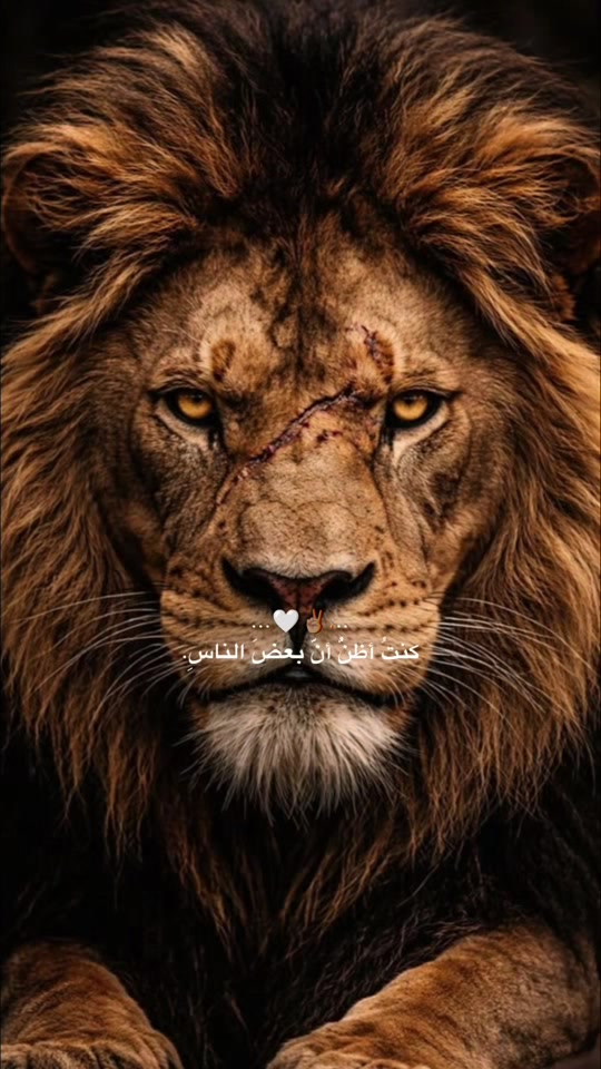 @🦅♟️الكاسح السوري♟️🦅