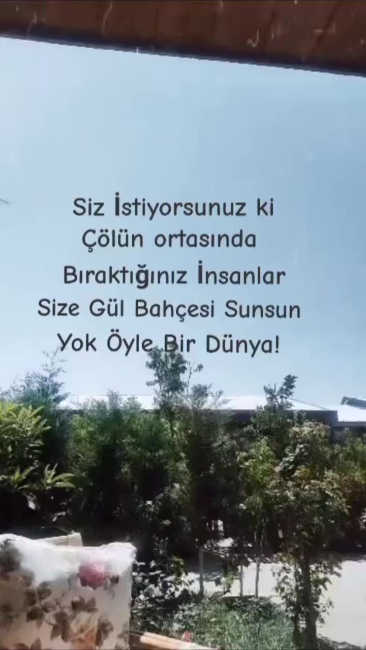@papatyamm