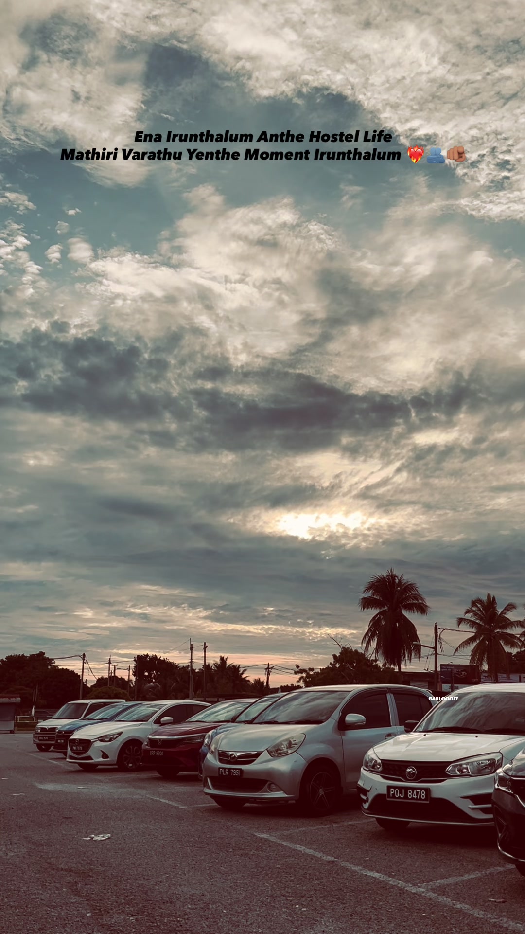 @๐ต๐ถ๐ท๐๐๐ ๐ช๐ป๐ป โก๏ธ