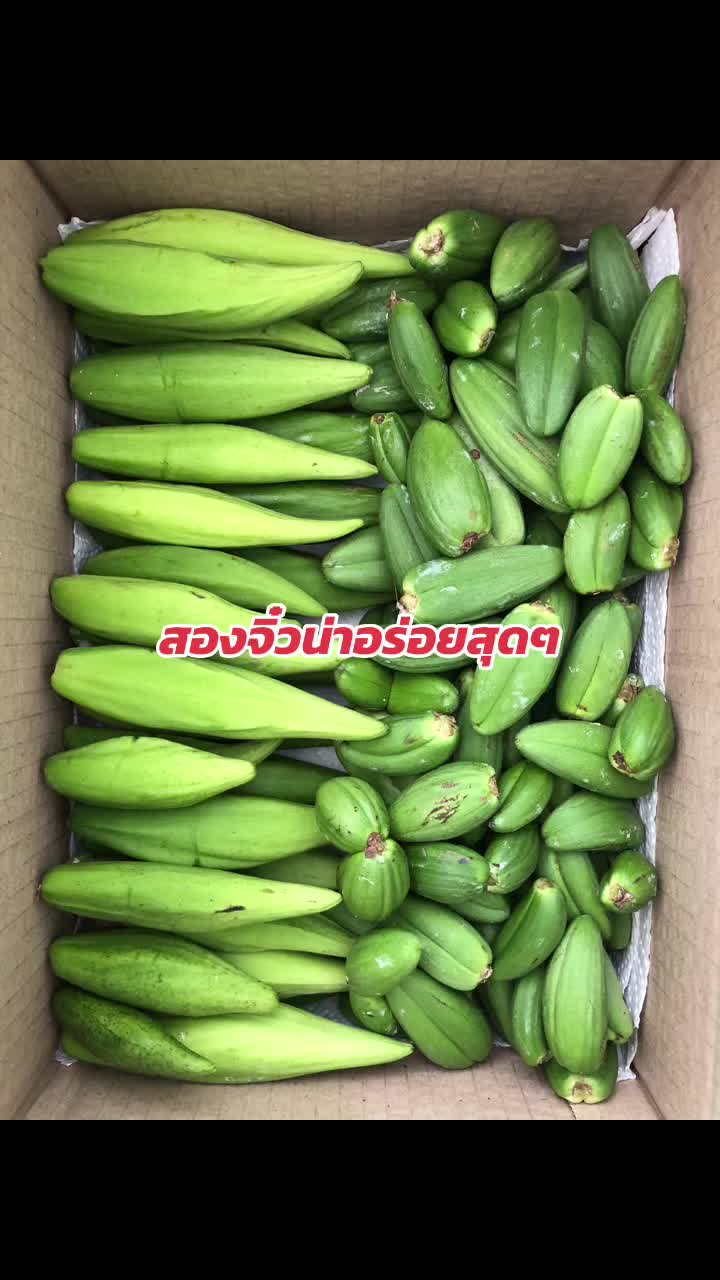 @🌿เจ๊ต่าย ขายผักป่าผักบ้าน🌿