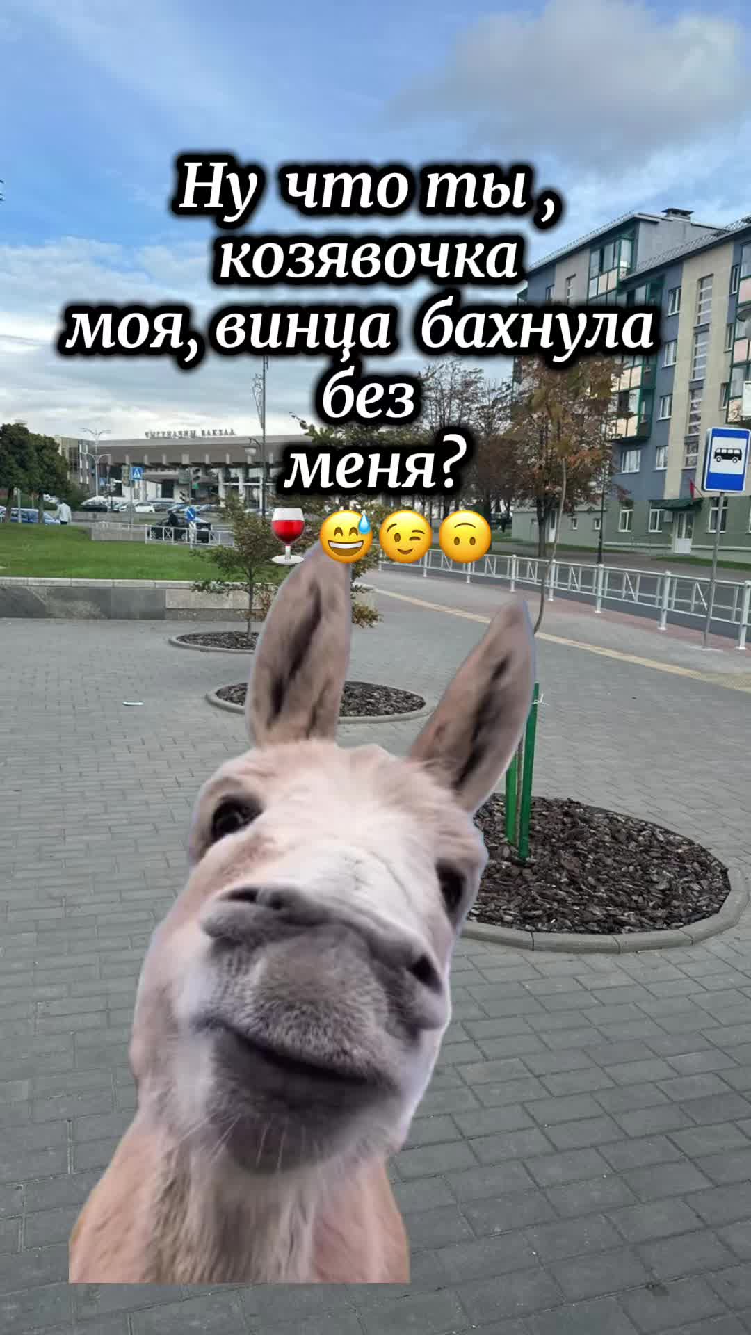 @𝓩𝓱𝓪𝓷𝓷𝓪 ✔️