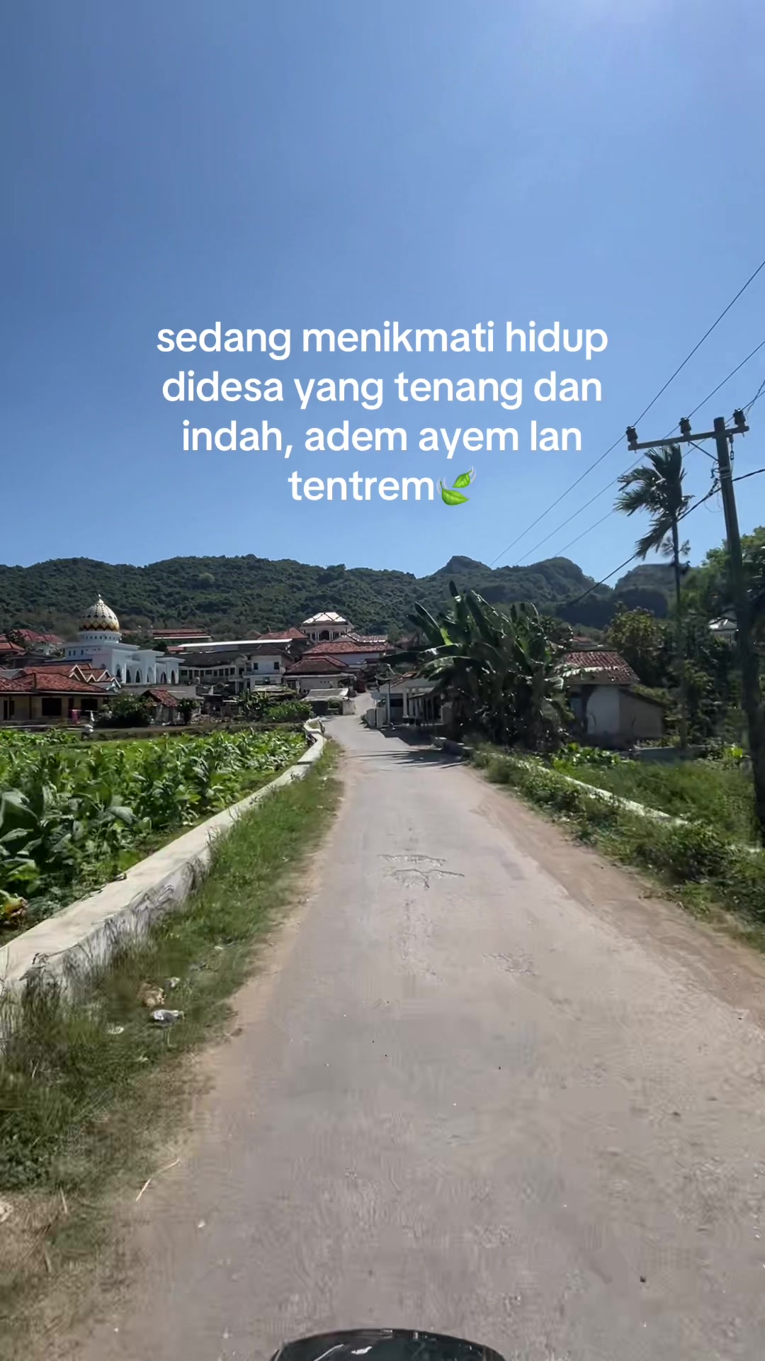 @𝐅𝐚𝐚
